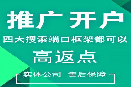 行业领先企业的信息流推广策略与效果分析