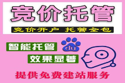 SEM运营公司案例：快速实现流量转化